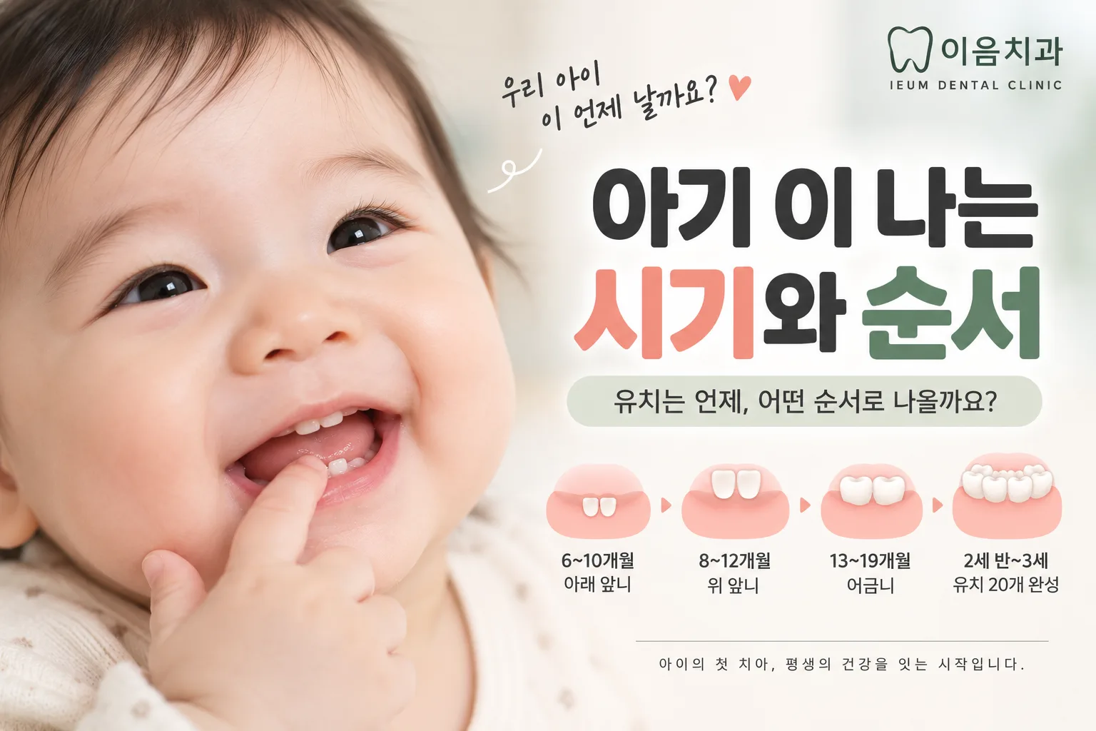 아기 이 나는 시기와 순서, 유치는 언제 나올까요? | 부산 명지 소아치과